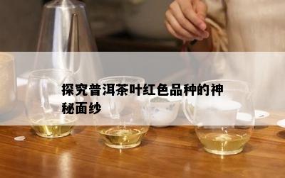 探究普洱茶叶红色品种的神秘面纱