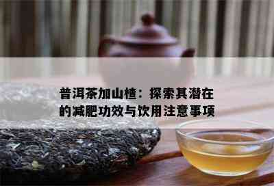 普洱茶加山楂：探索其潜在的减肥功效与饮用注意事项