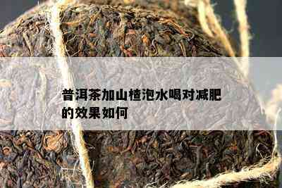 普洱茶加山楂泡水喝对减肥的效果如何