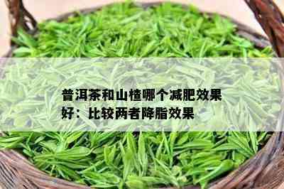 普洱茶和山楂哪个减肥效果好：比较两者降脂效果