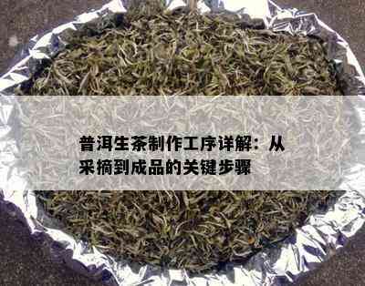 普洱生茶制作工序详解：从采摘到成品的关键步骤