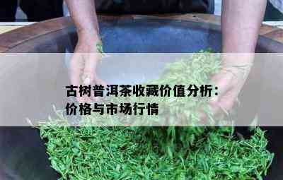 古树普洱茶收藏价值分析：价格与市场行情