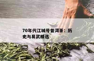 70年代江城号普洱茶：历史与易武精选