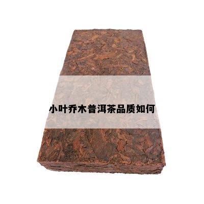 小叶乔木普洱茶品质如何