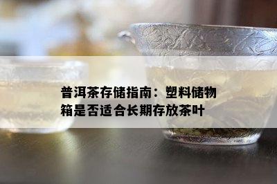 普洱茶存储指南：塑料储物箱是否适合长期存放茶叶