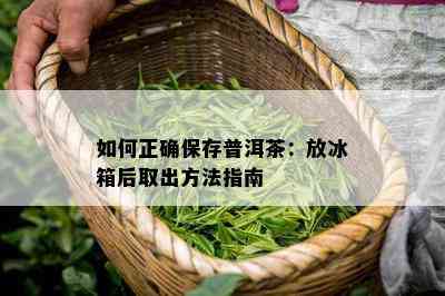 如何正确保存普洱茶：放冰箱后取出方法指南