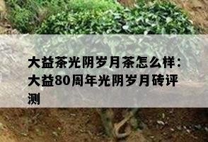 大益茶光阴岁月茶怎么样：大益80周年光阴岁月砖评测