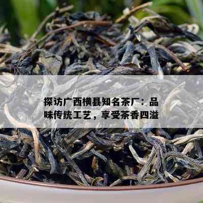 探访广西横县知名茶厂：品味传统工艺，享受茶香四溢