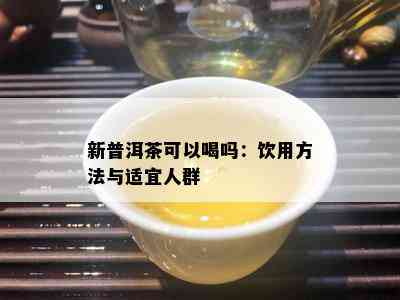 新普洱茶可以喝吗：饮用方法与适宜人群