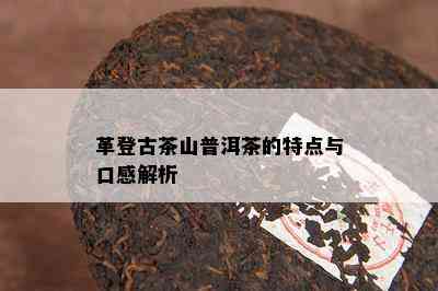 革登古茶山普洱茶的特点与口感解析