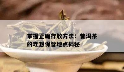 掌握正确存放方法：普洱茶的理想保管地点揭秘