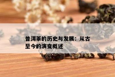 普洱茶的历史与发展：从古至今的演变概述