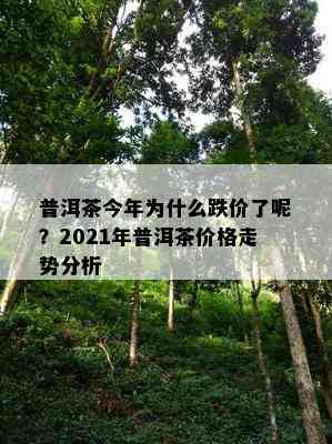 普洱茶今年为什么跌价了呢？2021年普洱茶价格走势分析