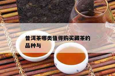 普洱茶哪类值得购买藏茶的品种与