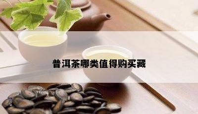 普洱茶哪类值得购买藏