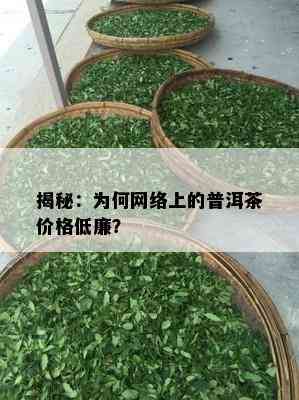 揭秘：为何网络上的普洱茶价格低廉？