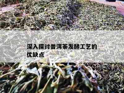 深入探讨普洱茶发酵工艺的优缺点