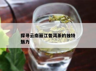 探寻云南丽江普洱茶的独特魅力