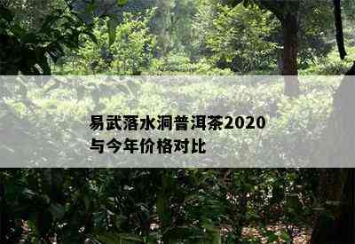 易武落水洞普洱茶2020与今年价格对比