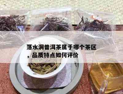 落水洞普洱茶属于哪个茶区，品质特点如何评价