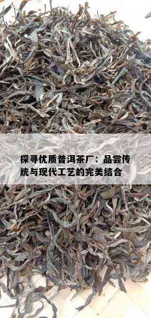 探寻优质普洱茶厂：品尝传统与现代工艺的完美结合