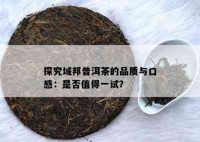 探究域邦普洱茶的品质与口感：是否值得一试？