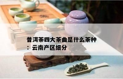 普洱茶四大茶曲是什么茶种：云南产区细分