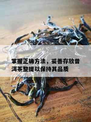 掌握正确方法，妥善存放普洱茶整提以保持其品质