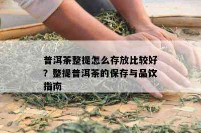 普洱茶整提怎么存放比较好？整提普洱茶的保存与品饮指南