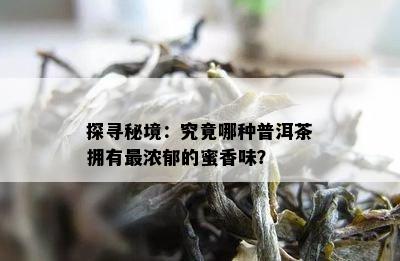 探寻秘境：究竟哪种普洱茶拥有最浓郁的蜜香味？