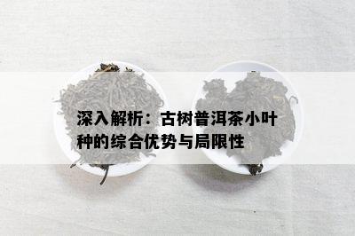 深入解析：古树普洱茶小叶种的综合优势与局限性