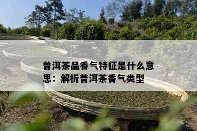 普洱茶品香气特征是什么意思：解析普洱茶香气类型