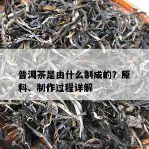 普洱茶是由什么制成的？原料、制作过程详解