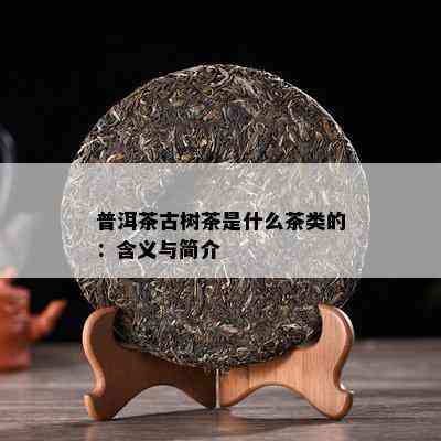 普洱茶古树茶是什么茶类的：含义与简介