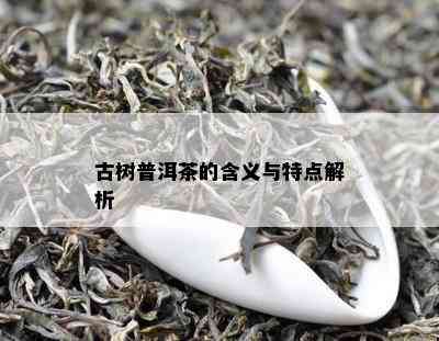 古树普洱茶的含义与特点解析