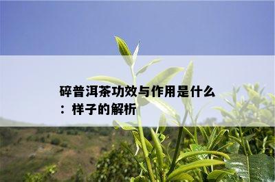 碎普洱茶功效与作用是什么：样子的解析