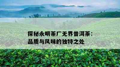 探秘永明茶厂无界普洱茶：品质与风味的独特之处