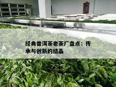 经典普洱茶老茶厂盘点：传承与创新的结晶