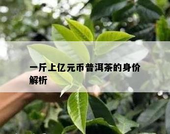 一斤上亿元币普洱茶的身价解析