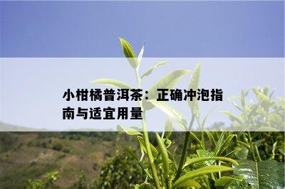 小柑橘普洱茶：正确冲泡指南与适宜用量