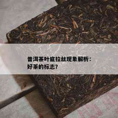 普洱茶叶底拉丝现象解析：好茶的标志？