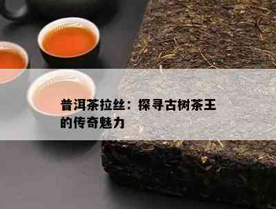 普洱茶拉丝：探寻古树茶王的传奇魅力