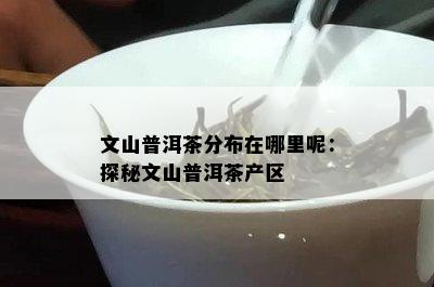 文山普洱茶分布在哪里呢：探秘文山普洱茶产区