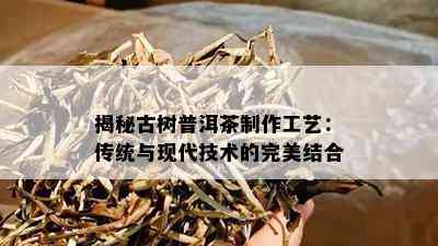 揭秘古树普洱茶制作工艺：传统与现代技术的完美结合