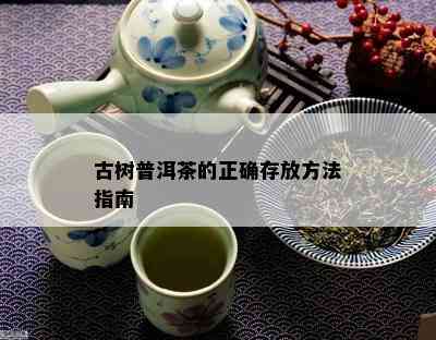 古树普洱茶的正确存放方法指南