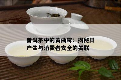 普洱茶中的黄曲霉：揭秘其产生与消费者安全的关联