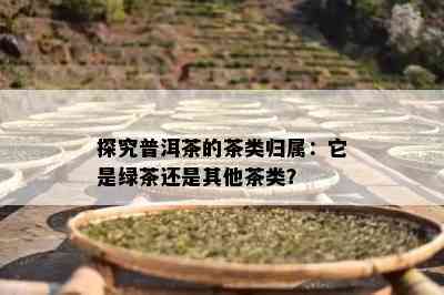 探究普洱茶的茶类归属：它是绿茶还是其他茶类？