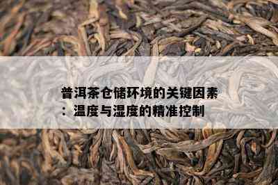 普洱茶仓储环境的关键因素：温度与湿度的精准控制