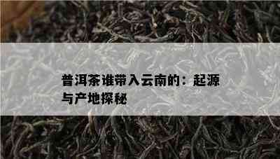 普洱茶谁带入云南的：起源与产地探秘