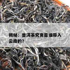 揭秘：普洱茶究竟是谁带入云南的？